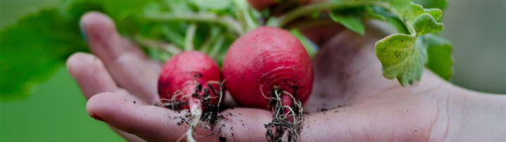 制作什么样的内容才能吸引用户？