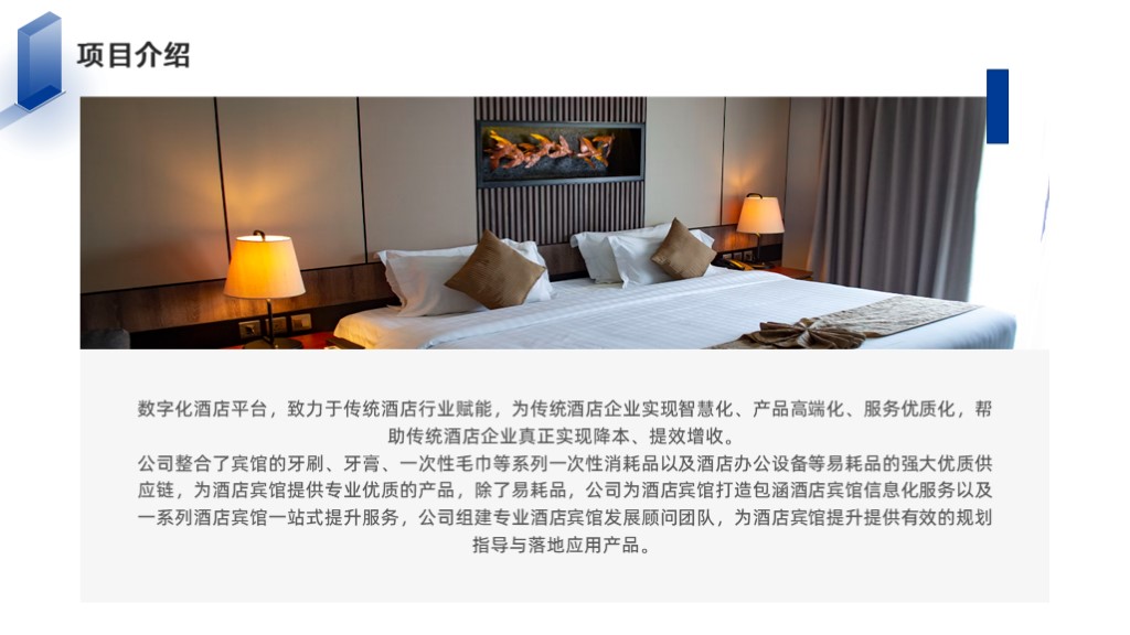 数字化酒店平台升级商业计划书范文-undefined