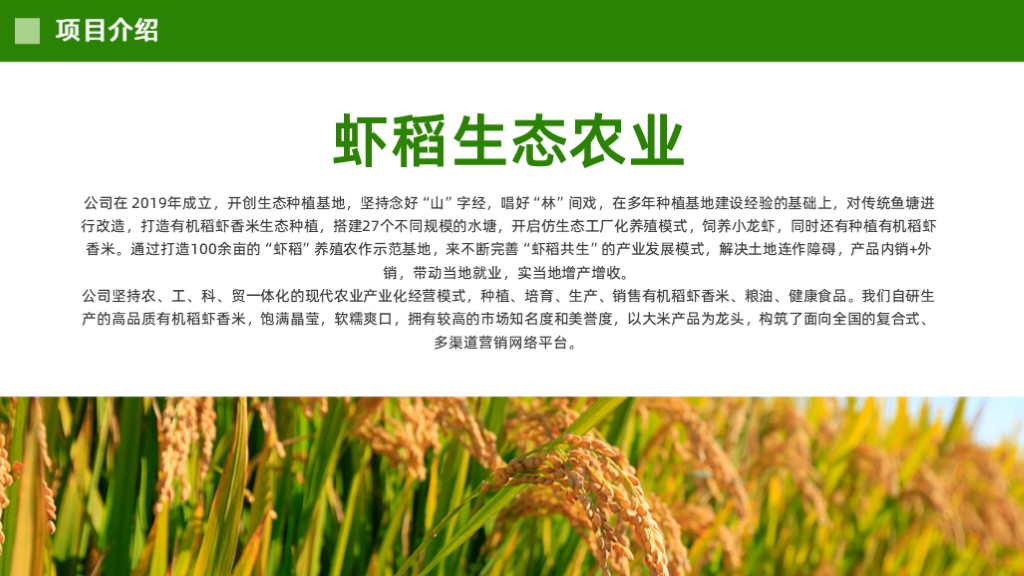 虾稻生态农业商业计划书范文-undefined