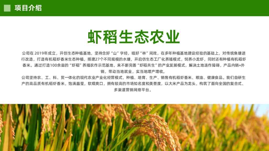 虾稻生态农业商业计划书范文-undefined