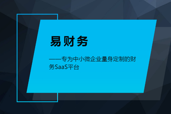 财务SaaS商业计划书范文